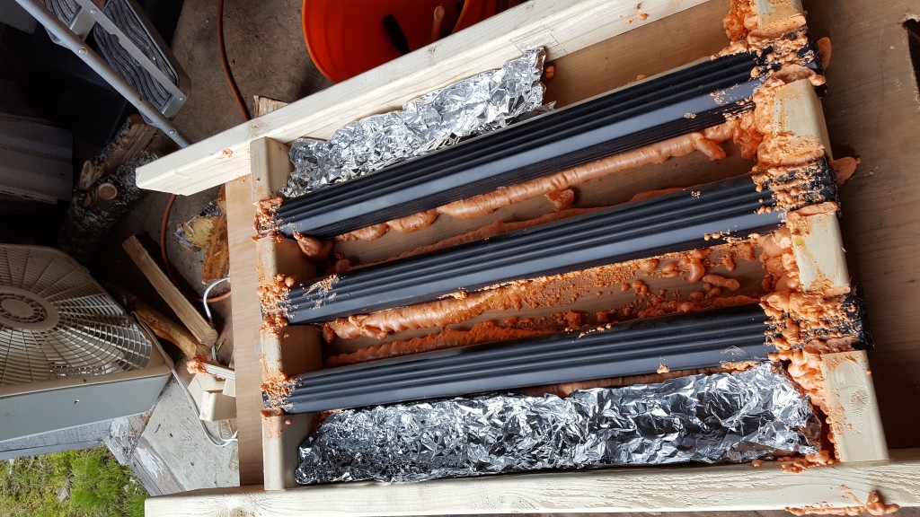 Solar firewood dryer
