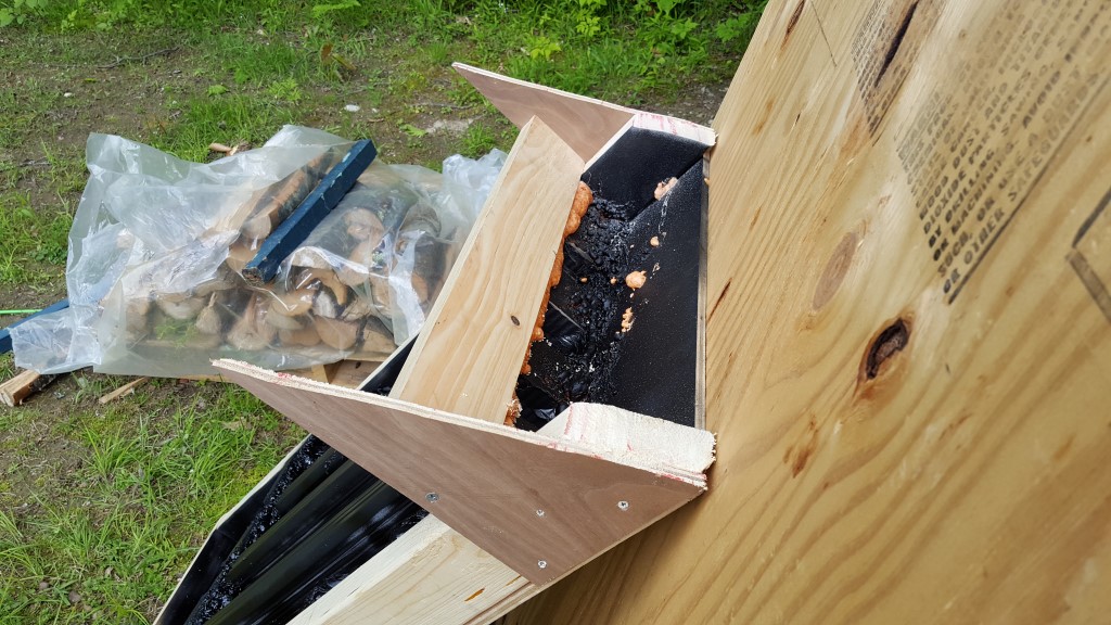 Solar firewood dryer