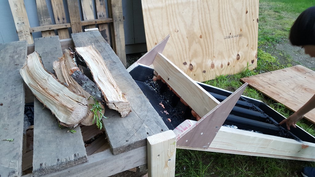 Solar firewood dryer