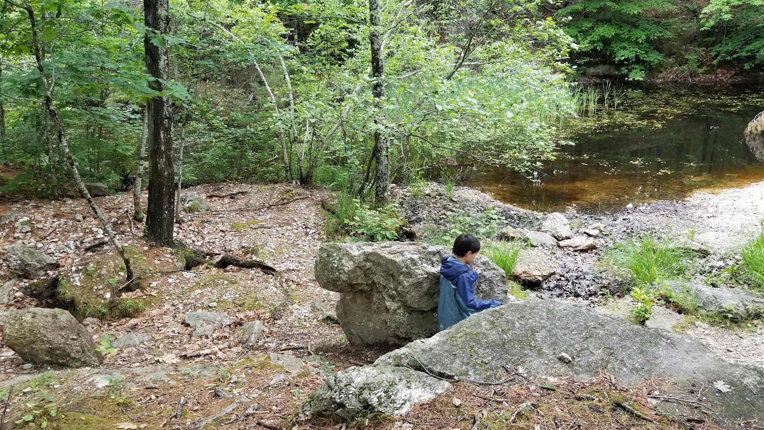 rock tumbling load amount